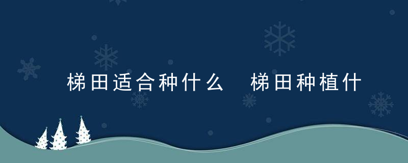 梯田适合种什么 梯田种植什么农作物比较好